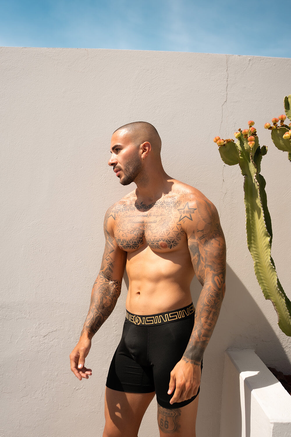 Icon Boxer Shorts - Combo (4 Pack)