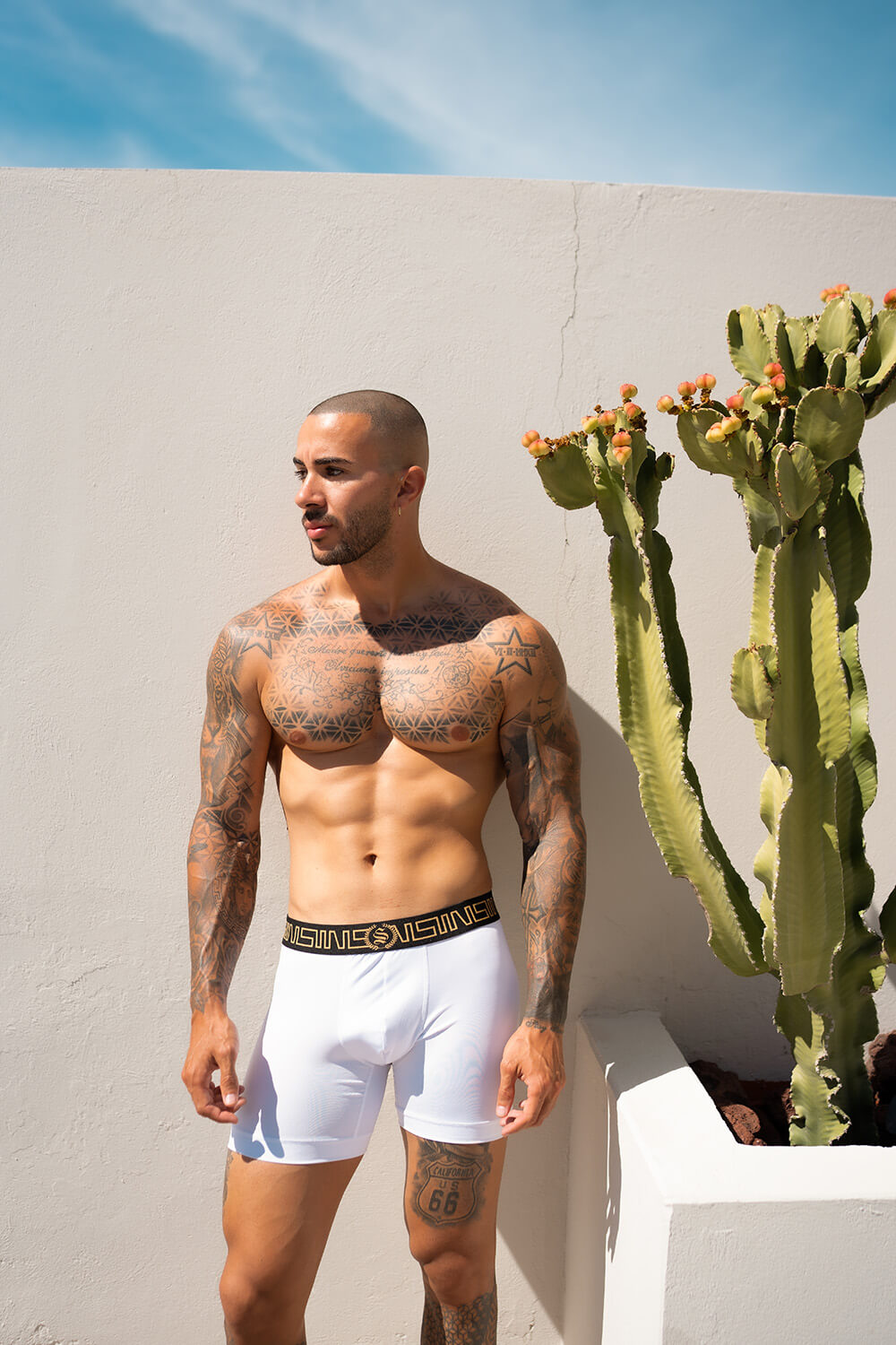 Icon Boxer Shorts - Combo (2 Pack)